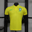 Brazil 2024 home player