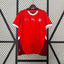 Switzerland 2024 home