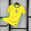 Brésil domicile 2025-2026