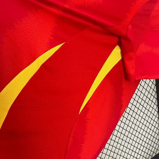 Espagne 2024 domicile