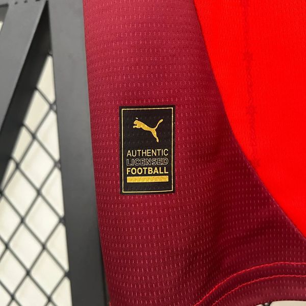 Switzerland 2024 home