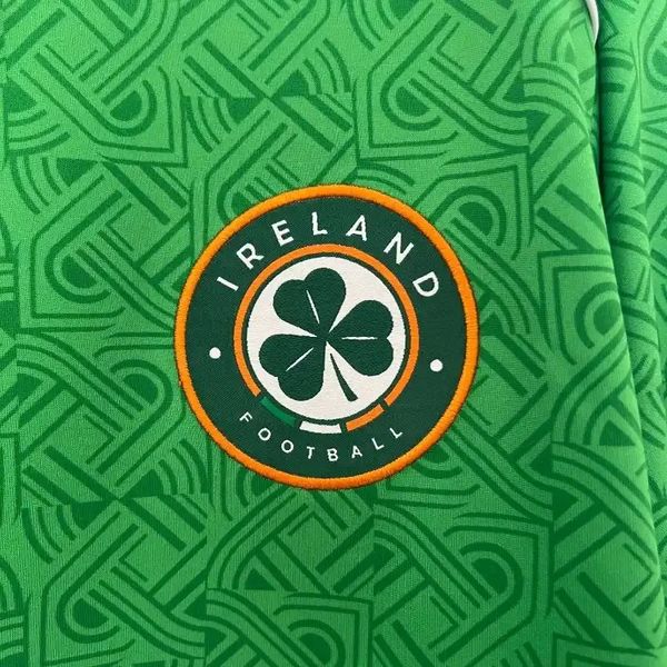 Irlande domicile 2024