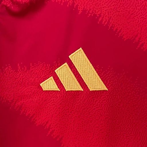 Espagne 2024 domicile