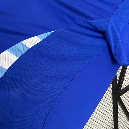 Argentina 2024 away