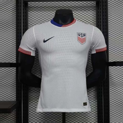 USA 2024 home player