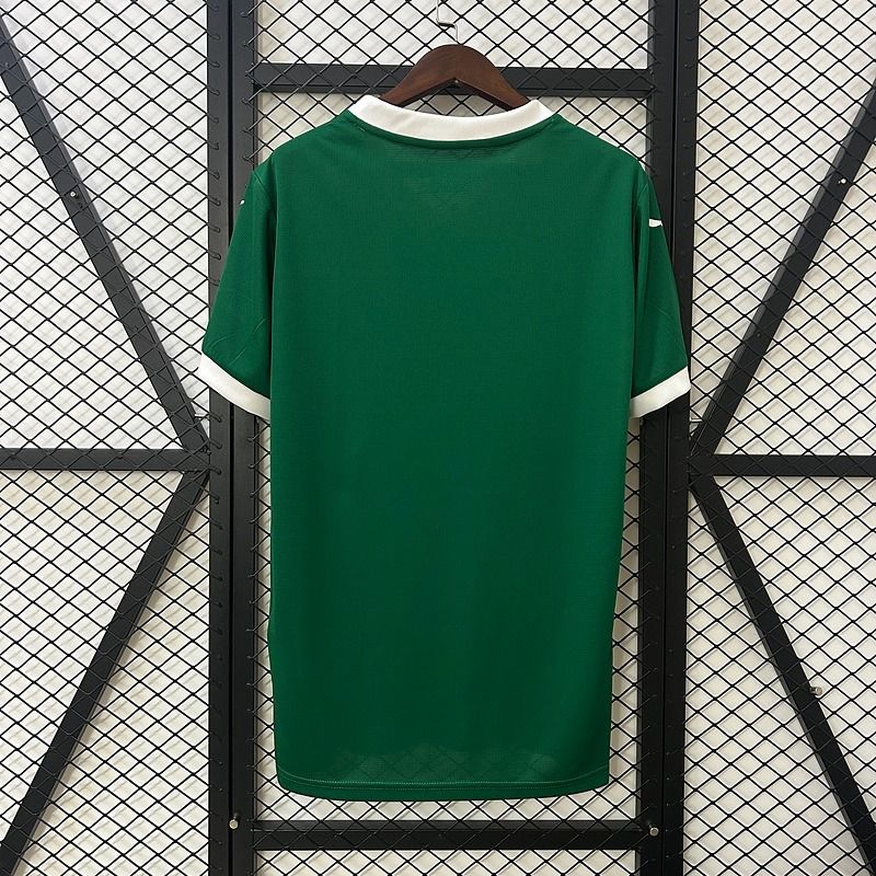 Palmeiras 2025-2026 home
