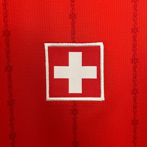 Switzerland 2024 home