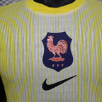 Gardien de but France 2025-2026