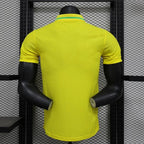 Brazil 2024 home player
