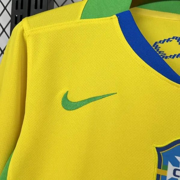 Brésil domicile 2025-2026