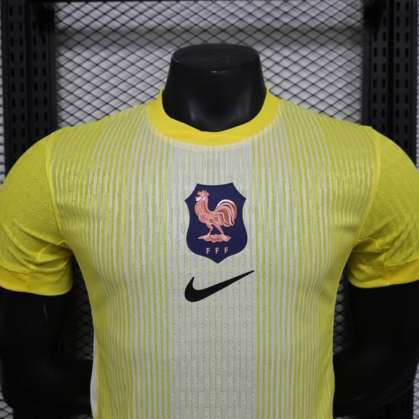 Gardien de but France 2025-2026