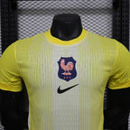 Gardien de but France 2025-2026