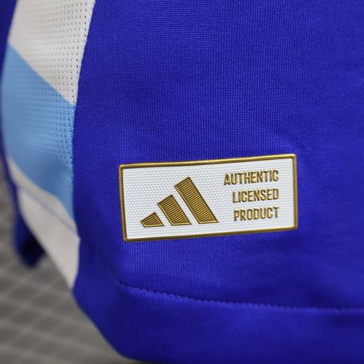 Argentina 2024 away player