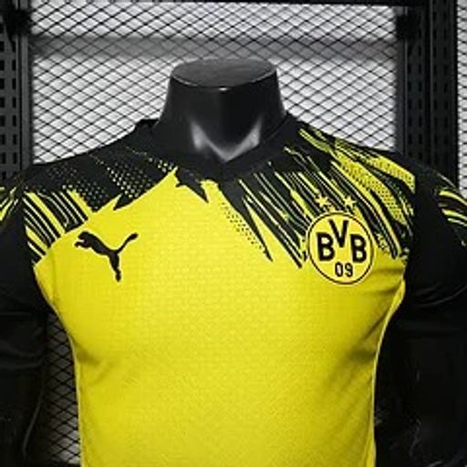 BVB Dortmund 2025-2026 home player