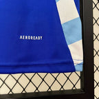 Argentina 2024 away