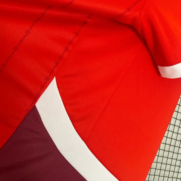 Switzerland 2024 home