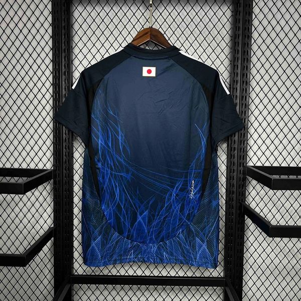 Japan 2024 home