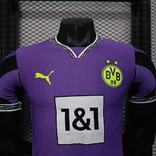 BVB Dortmund 2025-2026 Goalkeeper player