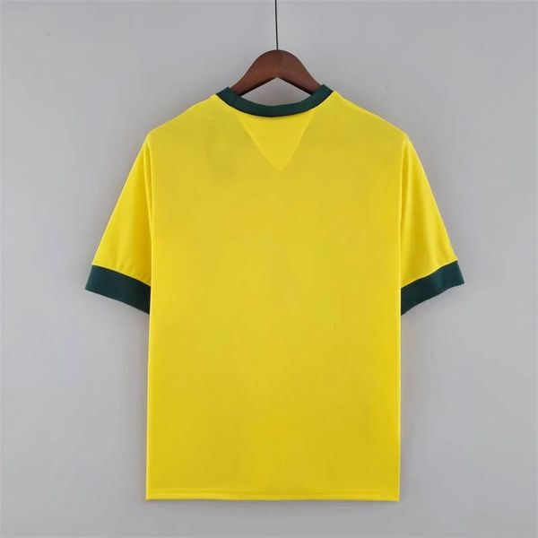 Retro Brazil 1970 home