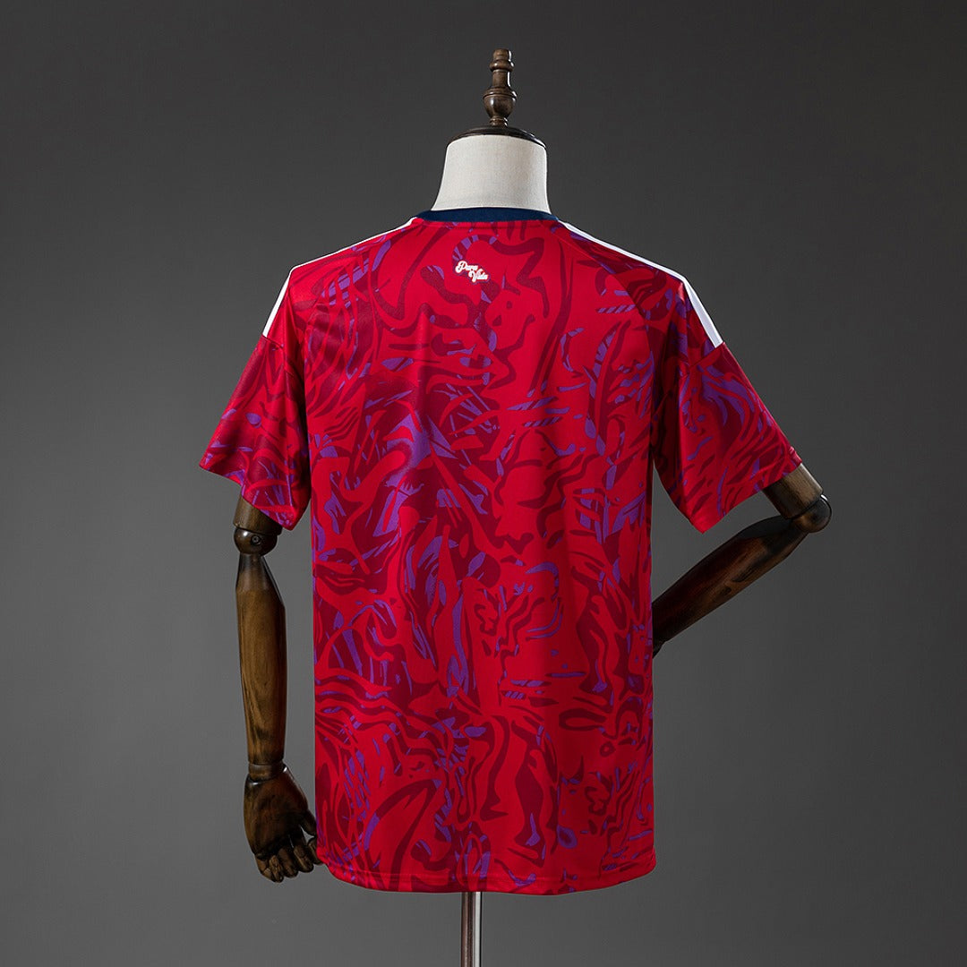 Costa Rica 2026 Home Fan Secondary image