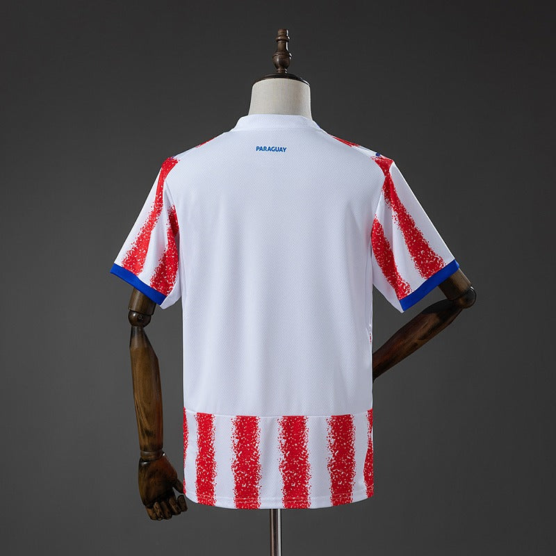 Paraguay Domicile Fan 2026